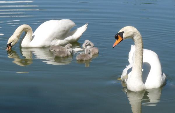 Proud mommy and daddy (and me)