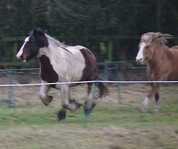 RACETRACK3