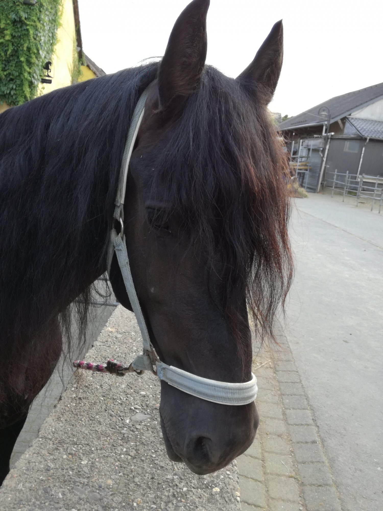 Ready for a new home