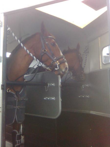 ready for the off