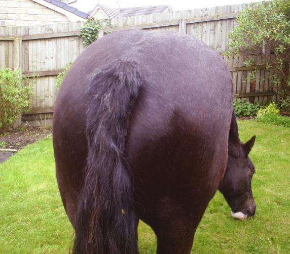 Rear view!