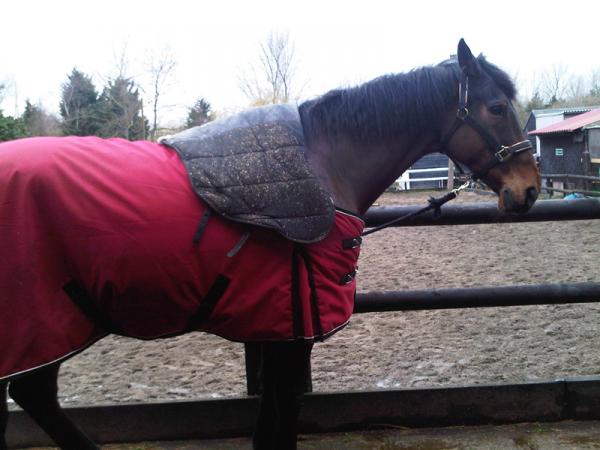 Rugged up