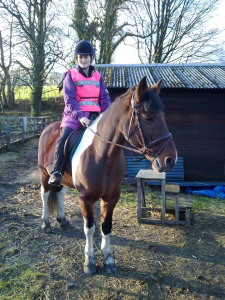 Rusty ready for action with his clip and his shiny new bridle