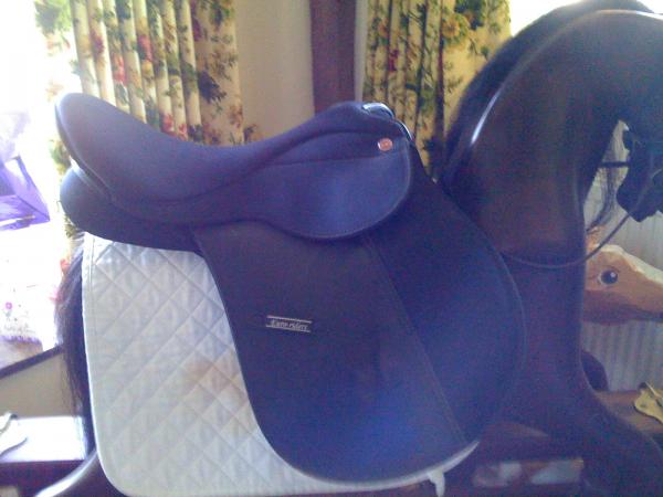 saddle 005