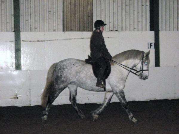Schooling