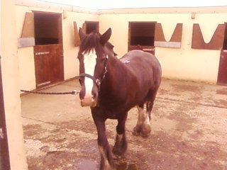 Shadow 11th April 2010