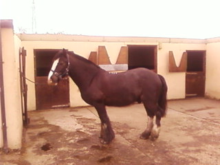 Shadow April 10