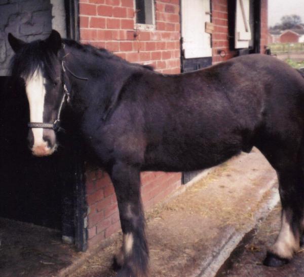 Shadow at 20mths