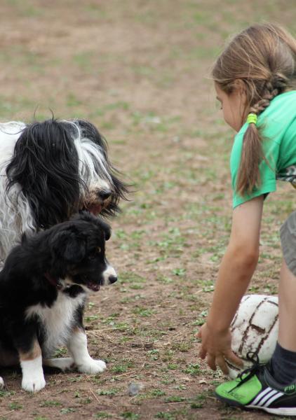 Shall we play ball?