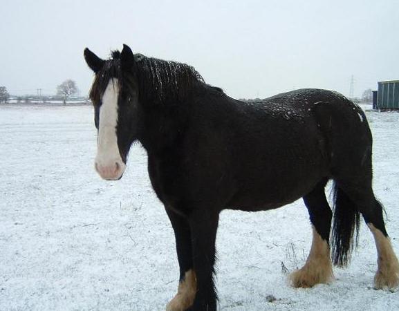 Snowing!
