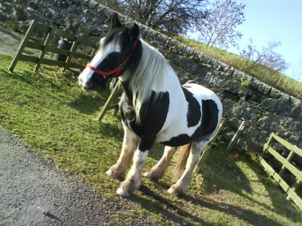 spotless with her rug removed