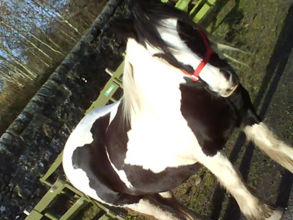 spotless with her rug removed