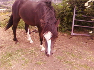 Still being nosey!