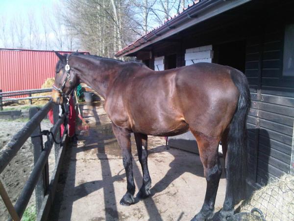 Sunning himself!