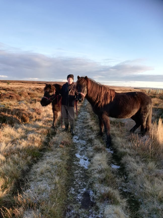 Tór and Fákur on moss.