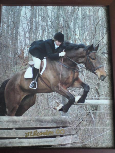 the 18.2hh again = shame it was a wrong stride! lol
