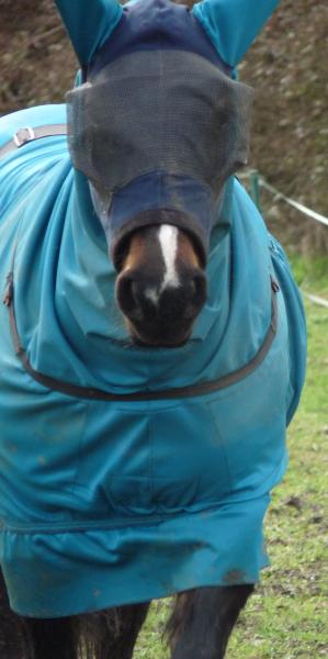 The cornerstone mask gives lots of clearance around her eyes