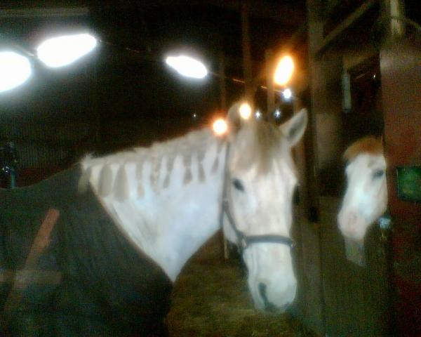 The very first photo I took of T. Before I bought him