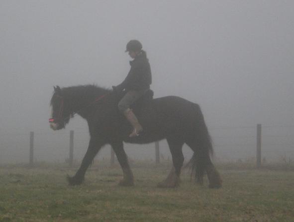 Theres a horse there somewhere