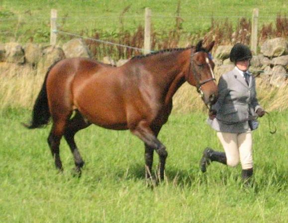 This showing lark is easy. Human just has to keep up.