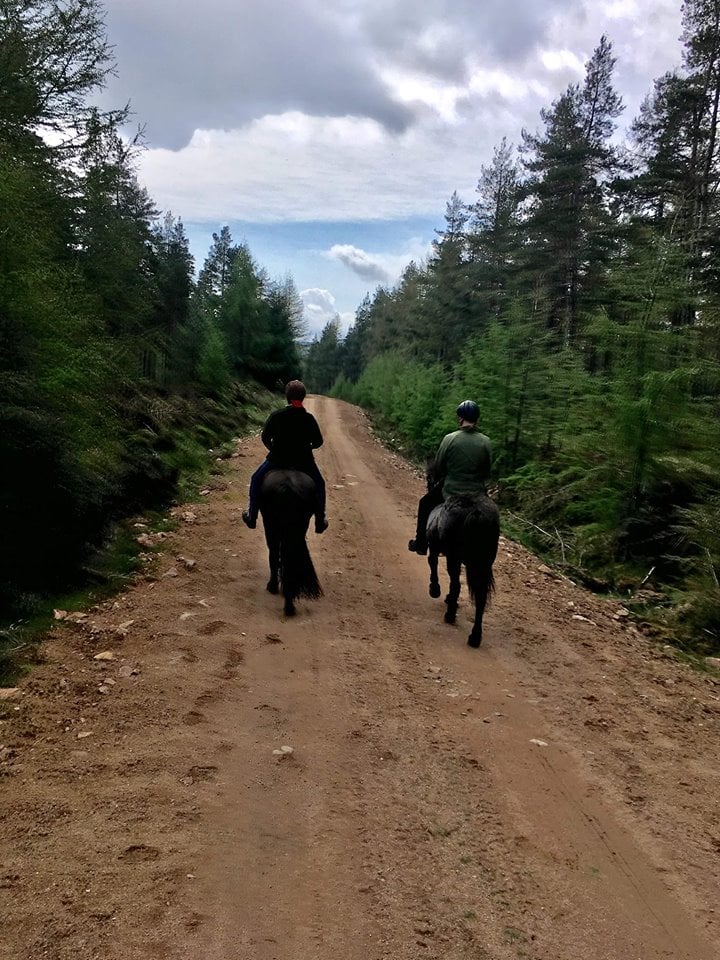 Tor and Fakur in the forest.