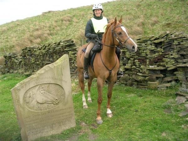 Townley Loop
