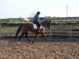 trot