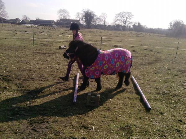 Troting Poles