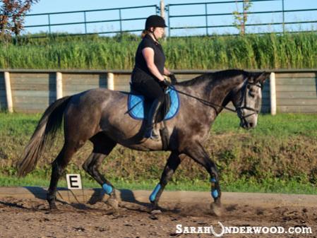 Trotting