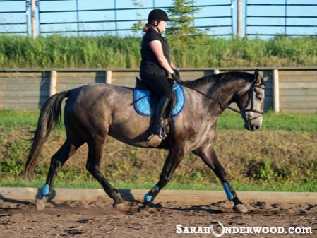 Trotting