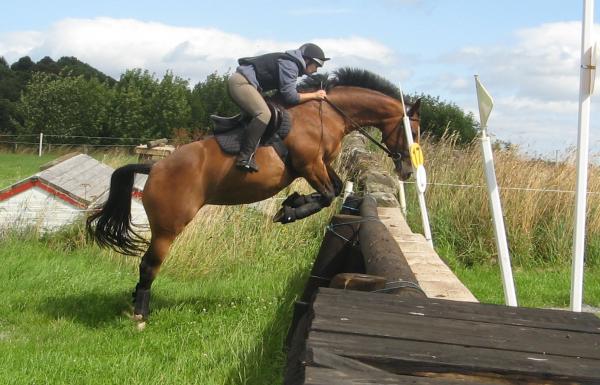 wall pic - didn't mean to jump this big..... kinda cantered towards it thinking nice wall - got nearer and nearer and it got bigger and bigger!!!! so did thelwell kick and got over :D