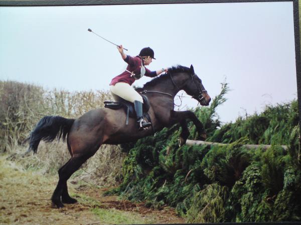 warks open team chase