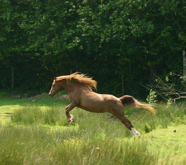 weeeeeeeeeee