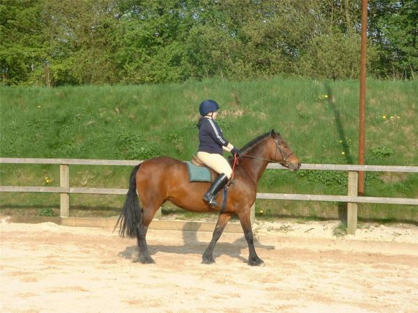 when i 1st went back to riding