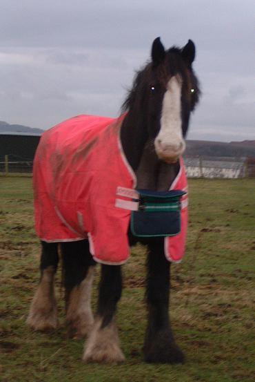 WHY am I wearing a bright pink rug?