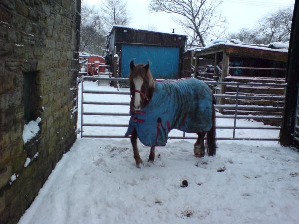 winter...
