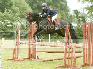 harrymetresouth-1.jpg