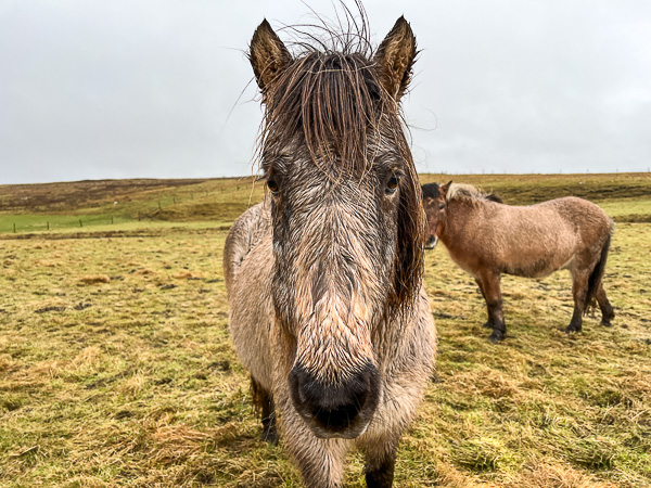 myshetland.co.uk