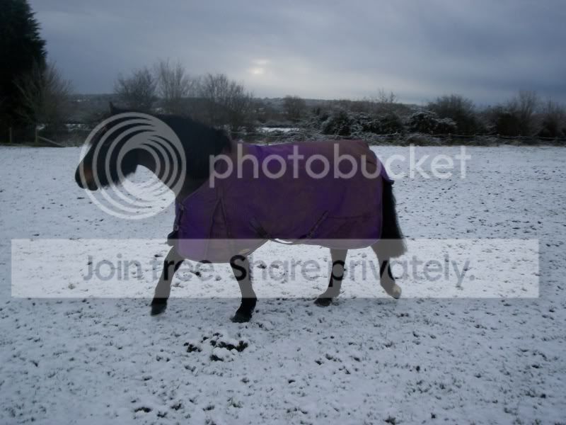SnowDay026.jpg