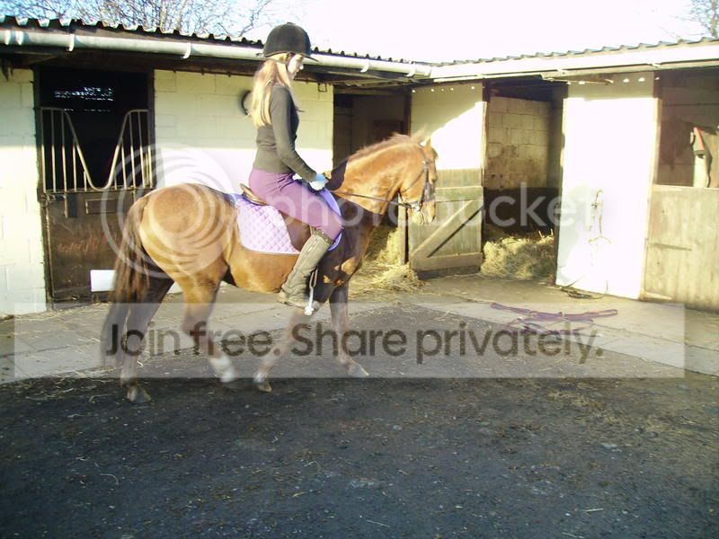 PICT0119.jpg