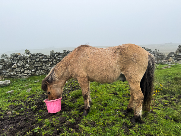 myshetland.co.uk