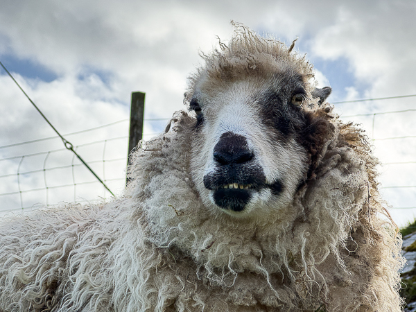 myshetland.co.uk