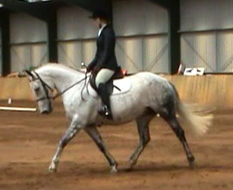 TVdress-bigtrot2.jpg
