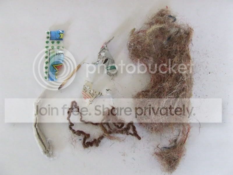 DSCF4925.jpg
