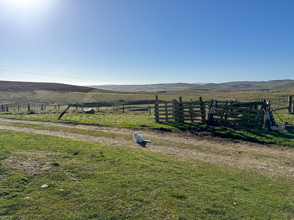myshetland.co.uk