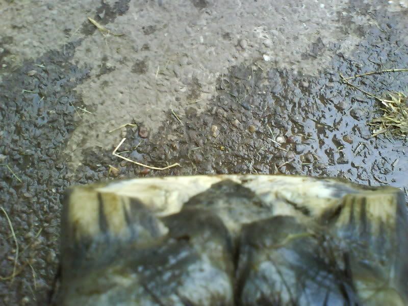DSC00568.jpg