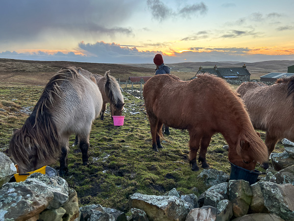myshetland.co.uk