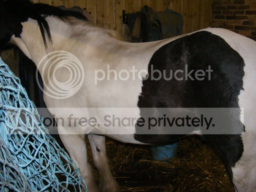 DSCF2961.jpg