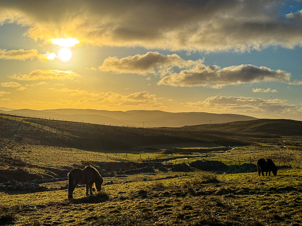 myshetland.co.uk