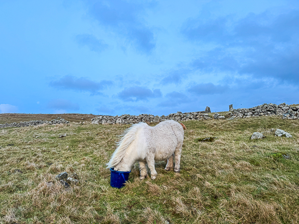 myshetland.co.uk